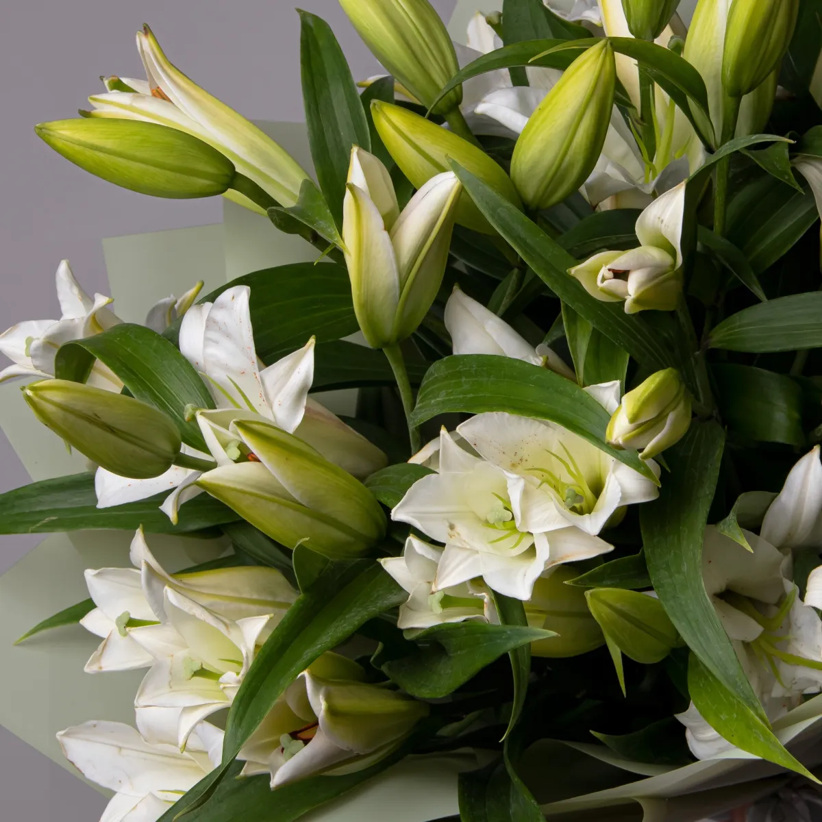 Букет Лилия "Ор Замбеси"_4