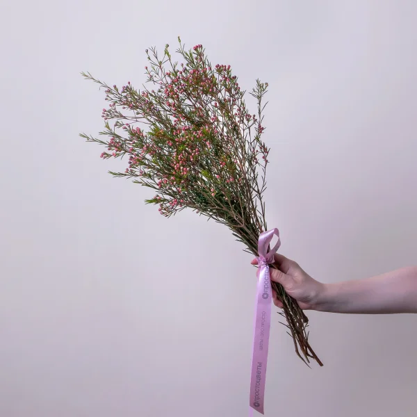 Букет Хамелациум "Ади"_1