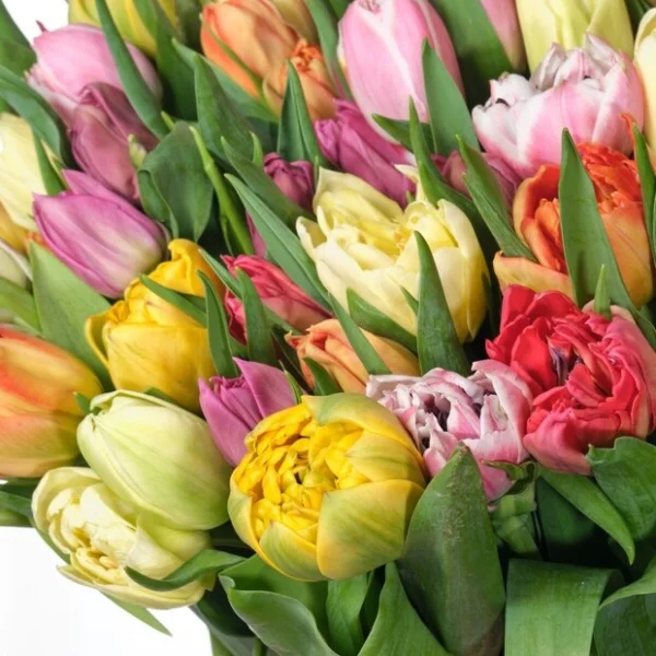 Тюльпан "Ду Микс 15 стеблей"
