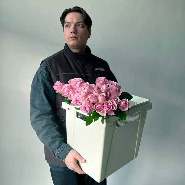 Роза "Свит Систер"_2