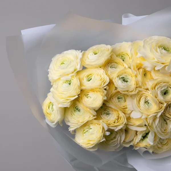 Букет Ранункулус "Клуни Кремовый"_3