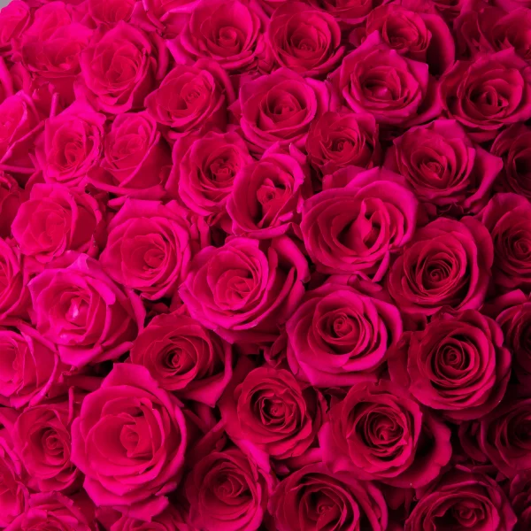 Флористический букет "101 малиновая роза, 70 см"_6