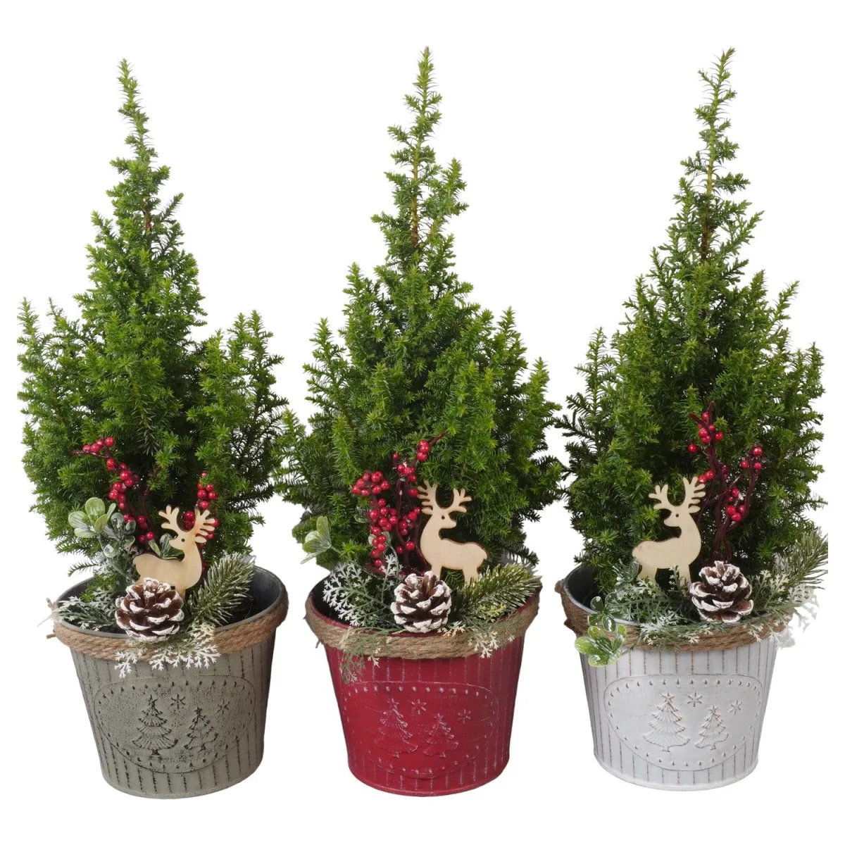 Ель Коника в цинке цвет микс с украшениями PTK25815