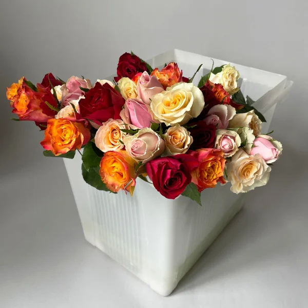 Роза "Микс"_1