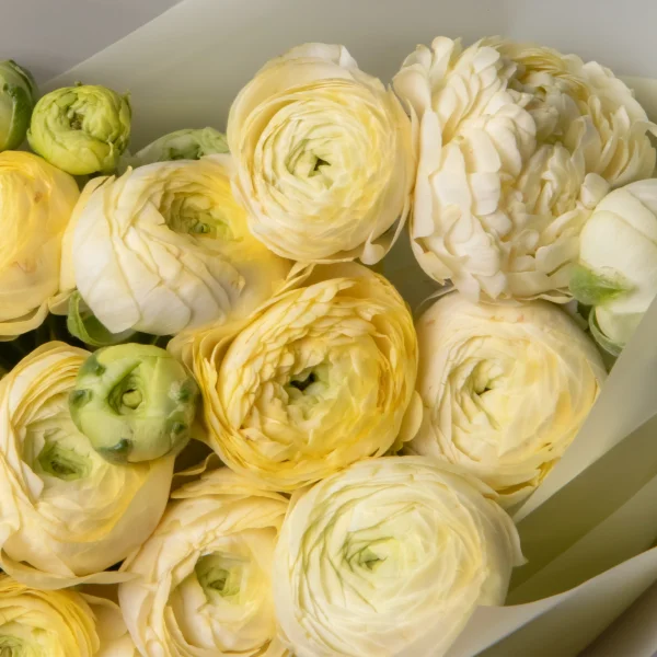 Букет Ранункулус "Азур Салмон"_4