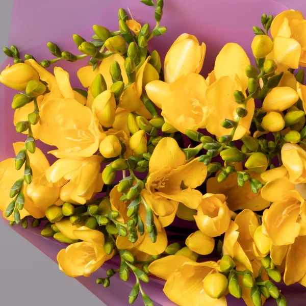 Букет Фрезия "Эн Ван Йеллоу"_4