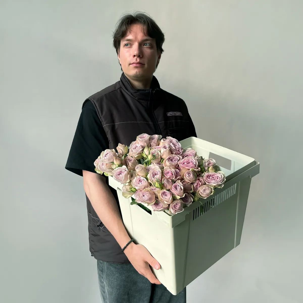 Роза кустовая "Сильвер Лейс"_2