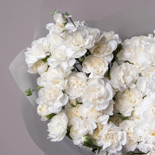 Букет Гвоздика кустовая "Белая"_3