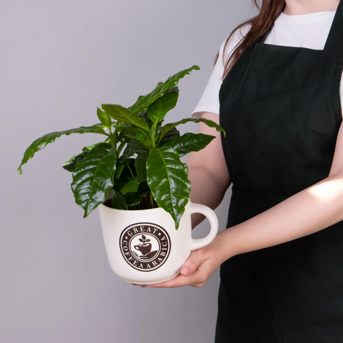 Кофе Арабика в кружке XL