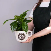 Кофе Арабика в кружке XL
