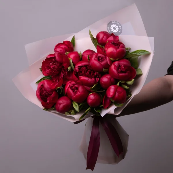Букет Пион "Ред Шарм"