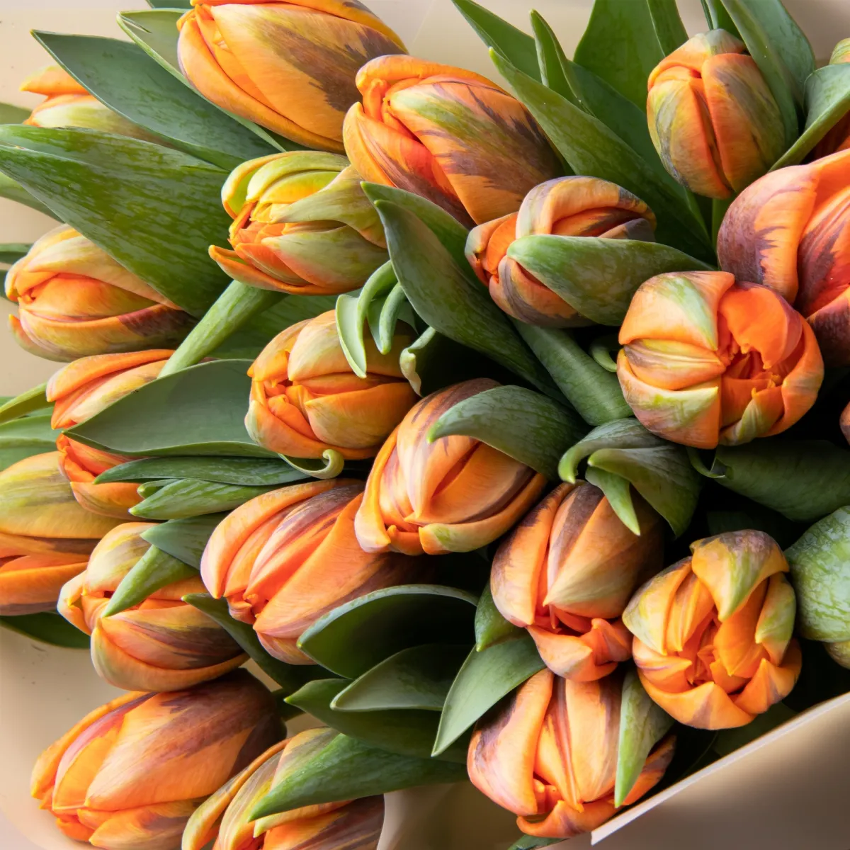 Букет Тюльпан "Ду Оранж Принцесс"