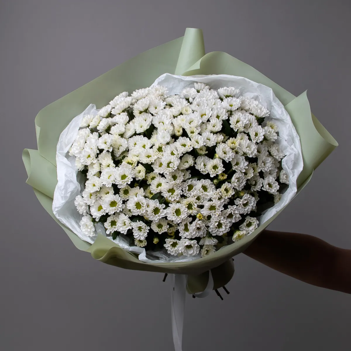 Букет Хризантема_сантини "Росси Вайт"