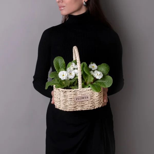 Примула Белая в Светлой двойной корзине_1