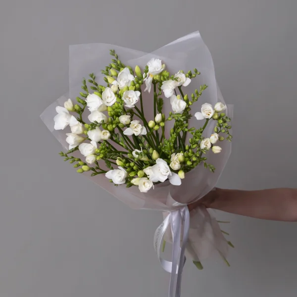 Букет Фрезия "Эн Ван Вайт"_1