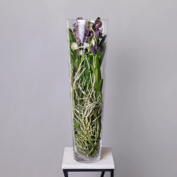 Ванда в стекле Мишель_1