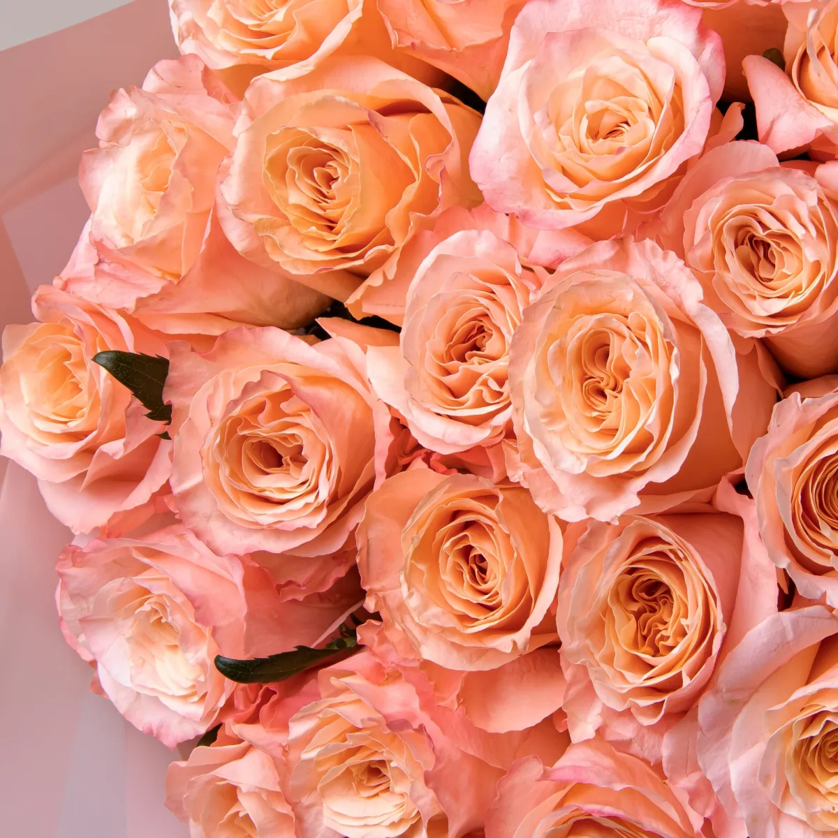 Букет Роза "Шиммер"