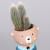 Кактус в кашпо Мишка РРр_3