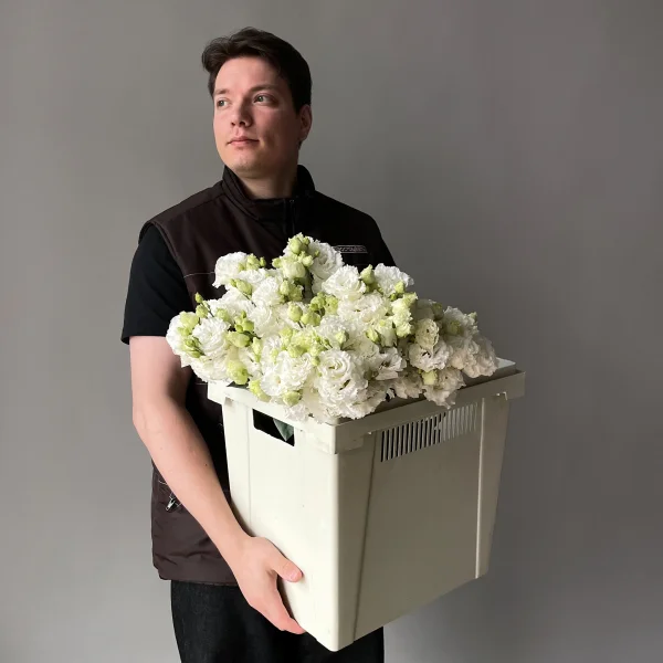 Лизиантус "Ду Селеб кристал"_2